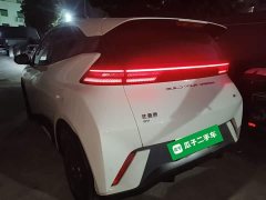 BYD Seagull Vitality Edition - ფოტო 4