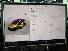 Tesla Model Y L Long Range All-Wheel Drive - ფოტო 12