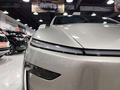 Tesla Model Y L Long Range All-Wheel Drive - ფოტო 18