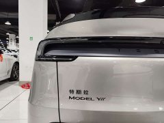 Tesla Model Y L Long Range All-Wheel Drive - ფოტო 19