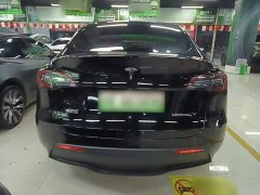 Tesla Model Y Rear-Wheel Drive - ფოტო 5