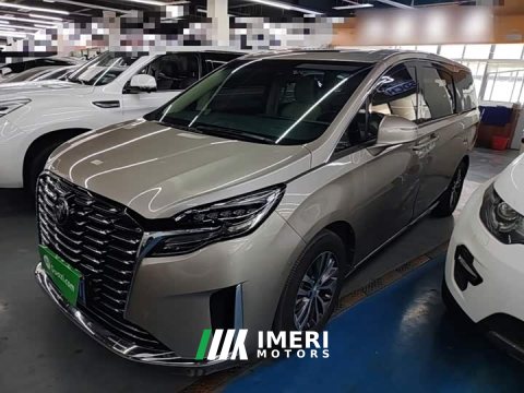 2024 Buick GL8 ES Luxe Enjoyment Edition - автомобиль из Китая