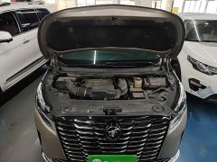 Buick GL8 ES Luxe Enjoyment Edition - ფოტო 19