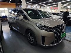 Buick GL8 ES Luxe Enjoyment Edition - ფოტო 3