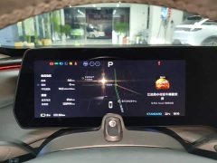 XPeng P7 P7i 610 Max Performance Edition - ფოტო 11