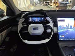 Geely Galaxy L6 125km MAX - ფოტო 15