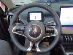 BYD Yuan Plus 510KM Flagship - ფოტო 10