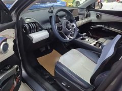 BYD Yuan Plus 510KM Flagship - ფოტო 15