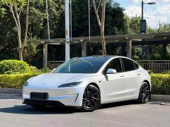 Tesla Model 3 High Performance All-Wheel Drive - photo 1
