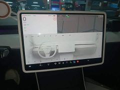 Tesla Model 3 Rear-Wheel Drive - ფოტო 12