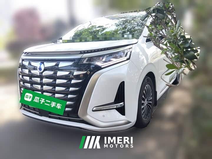 Denza D9 DM-i 1050 Premium - ავტომობილი ჩინეთიდან