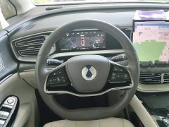 Denza D9 DM-i 1050 Premium - ფოტო 6