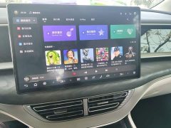 Denza D9 DM-i 1050 Premium - ფოტო 9