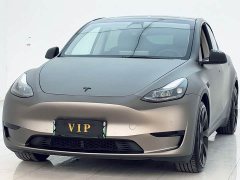 Tesla Model Y Rear-Wheel Drive - ფოტო 2