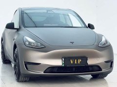Tesla Model Y Rear-Wheel Drive - ფოტო 3