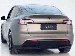 Tesla Model Y Rear-Wheel Drive - ფოტო 9