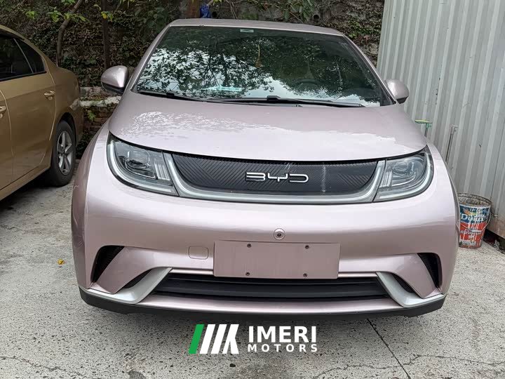 BYD Dolphin 405km Freedom Edition - ავტომობილი ჩინეთიდან