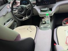 BYD Dolphin 405km Freedom Edition - ფოტო 8
