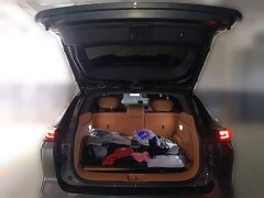 Dongfeng Fengshen L8 185KM Dream Edition - photo 15