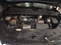 Dongfeng Fengshen L8 185KM Dream Edition - photo 16