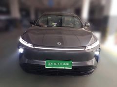 Dongfeng Fengshen L8 185KM Dream Edition - photo 2