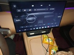 Dongfeng Fengshen L8 185KM Dream Edition - photo 9