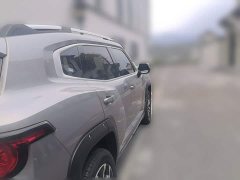 Haval Big Dog PLUS 1.5T Two-Wheel Drive Trendy Wilderness Edition Plus - photo 4