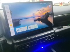 Haval Big Dog PLUS 1.5T Two-Wheel Drive Trendy Wilderness Edition Plus - photo 9