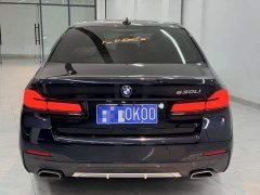 BMW 5 Series 530Li Premier M Sport Package - ფოტო 8