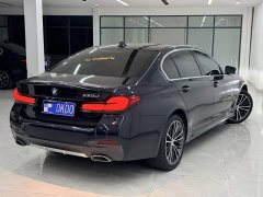 BMW 5 Series 530Li Premier M Sport Package - ფოტო 9