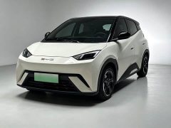 BYD Seagull Glory Edition 305km Freedom Version - ფოტო 1