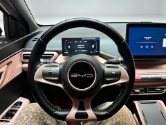 BYD Seagull Glory Edition 305km Freedom Version - ფოტო 10