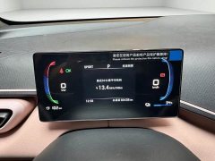 BYD Seagull Glory Edition 305km Freedom Version - ფოტო 11