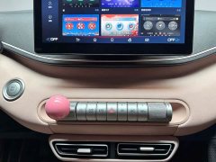 BYD Seagull Glory Edition 305km Freedom Version - ფოტო 15