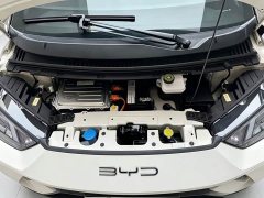 BYD Seagull Glory Edition 305km Freedom Version - ფოტო 16