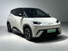 BYD Seagull Glory Edition 305km Freedom Version - ფოტო 3