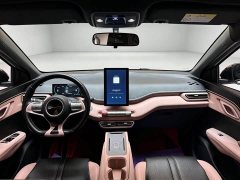 BYD Seagull Glory Edition 305km Freedom Version - ფოტო 5