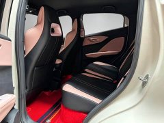 BYD Seagull Glory Edition 305km Freedom Version - ფოტო 6