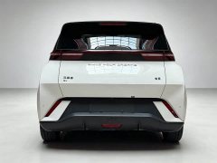 BYD Seagull Glory Edition 305km Freedom Version - ფოტო 8