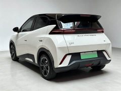 BYD Seagull Glory Edition 305km Freedom Version - ფოტო 9