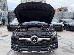 Mercedes-Benz GLE (Import) GLE 350 4MATIC Luxury Edition - photo 10