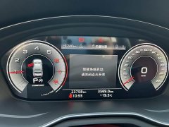 Audi A4L 40 TFSI Luxury Dynamic - фото 13
