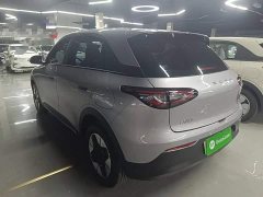 Geely Star Wish 310km Dream Edition - ფოტო 4