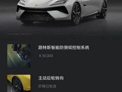 Lotus EMEYA S - ფოტო 8