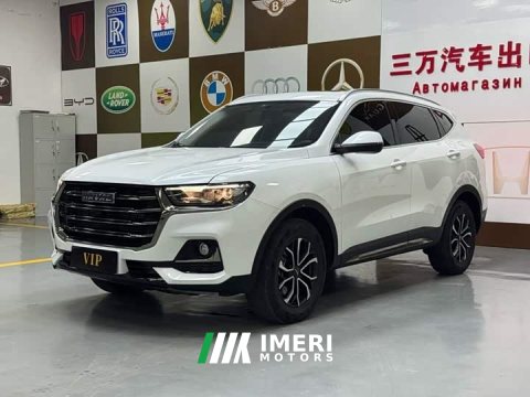 2023 Haval H6 National Trend Edition 1.5T Automatic Urban Version - car from China