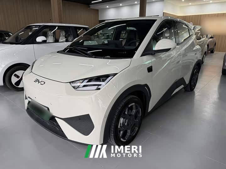 BYD Seagull Smart Driving Edition 305km Freedom Edition - ავტომობილი ჩინეთიდან