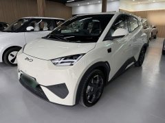 BYD Seagull Smart Driving Edition 305km Freedom Edition - ფოტო 1