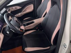 BYD Seagull Smart Driving Edition 305km Freedom Edition - ფოტო 10