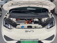 BYD Seagull Smart Driving Edition 305km Freedom Edition - ფოტო 13