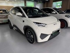 BYD Seagull Smart Driving Edition 305km Freedom Edition - ფოტო 7